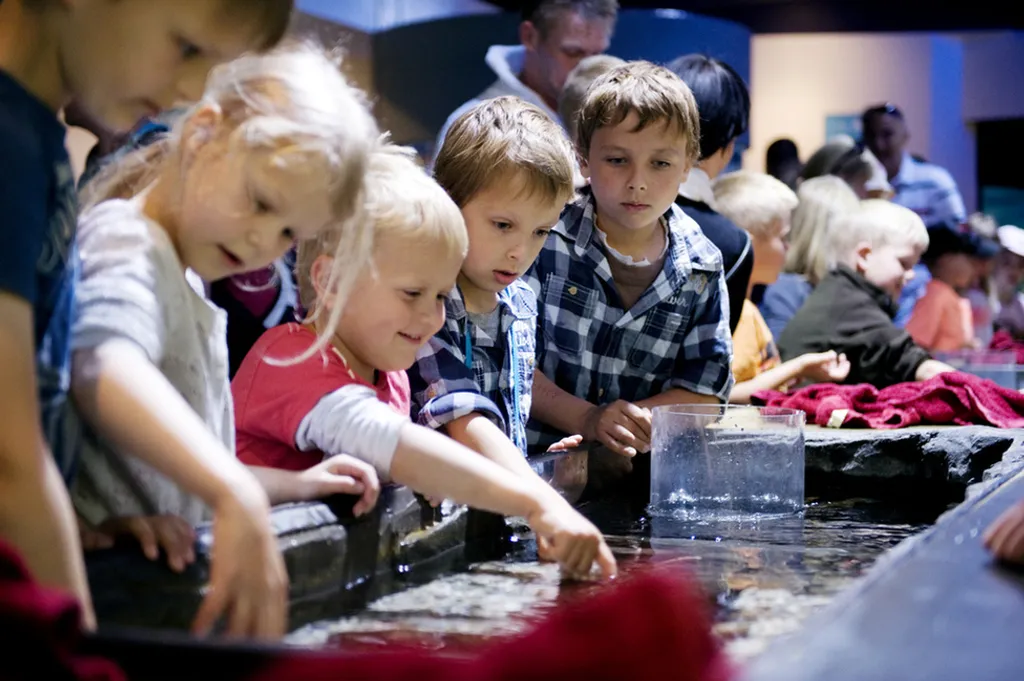 Fotó: legoland.dk 