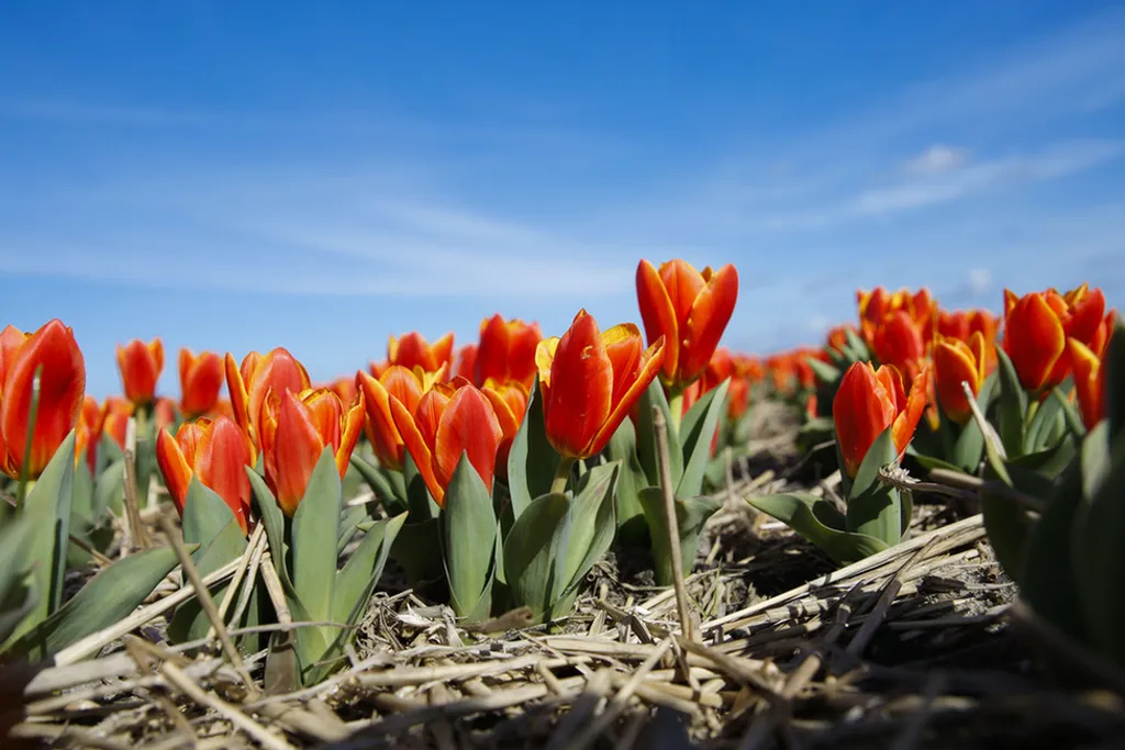 Fotó: Ye Pingfan Xinhua / eyevine / Northfoto 