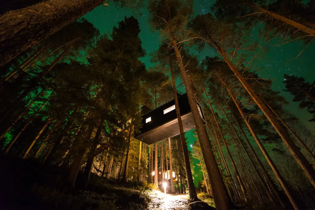 Fotó: Darren Hamlin / Treehouse