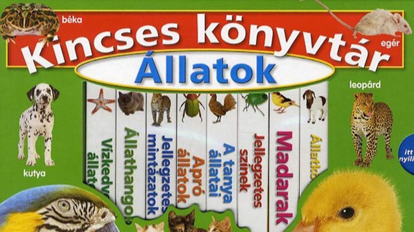 Könyvajánló: Minikönyvtár, hercegnők, varázstányér, szeretet