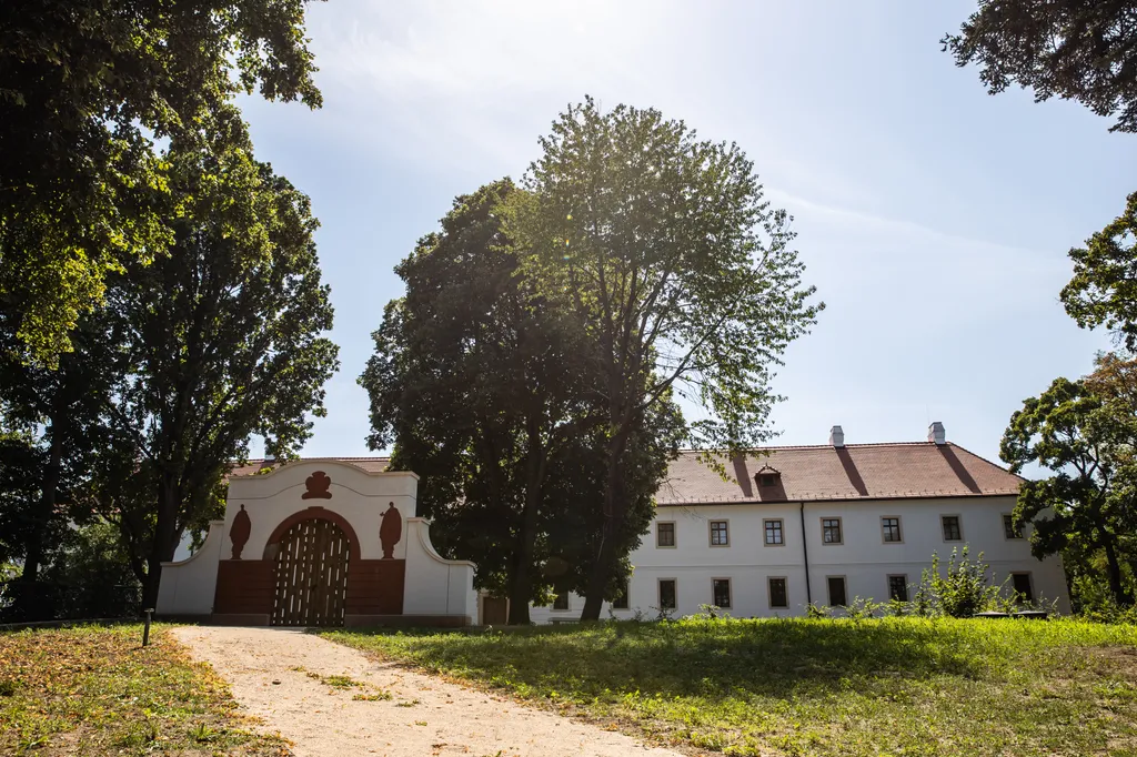 Fotó: Polyák Attila