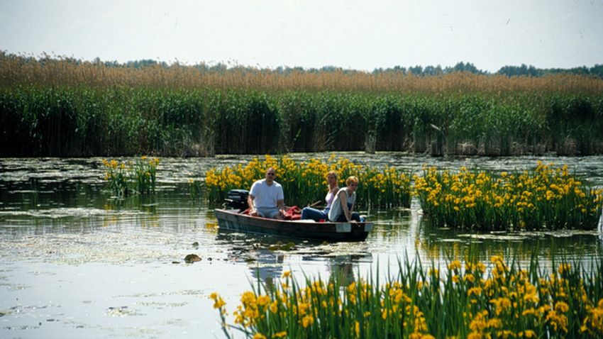Tisza-tó programok