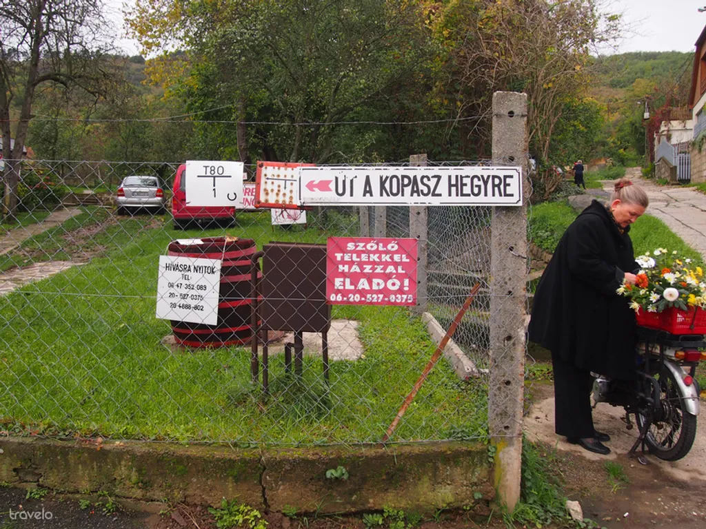 Fotó: Vincze Barbara 