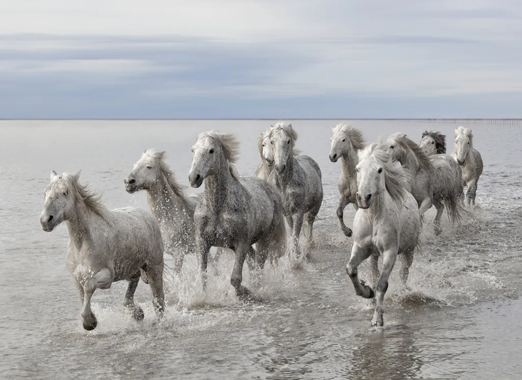 Fotó: Marco Carmassi/solent / Northfoto 