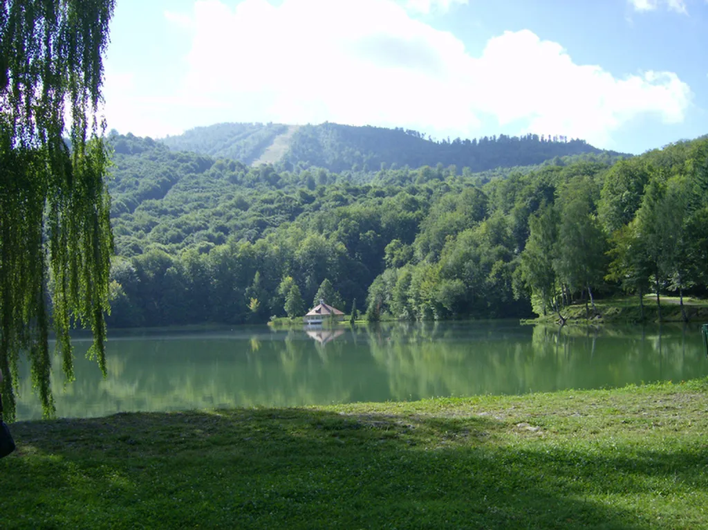 Fotó: Marin / flickr 