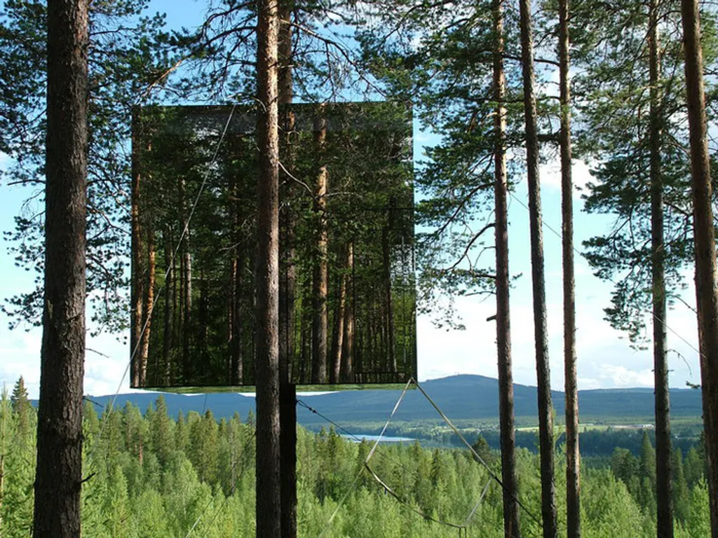 Fotó: Treehouse 