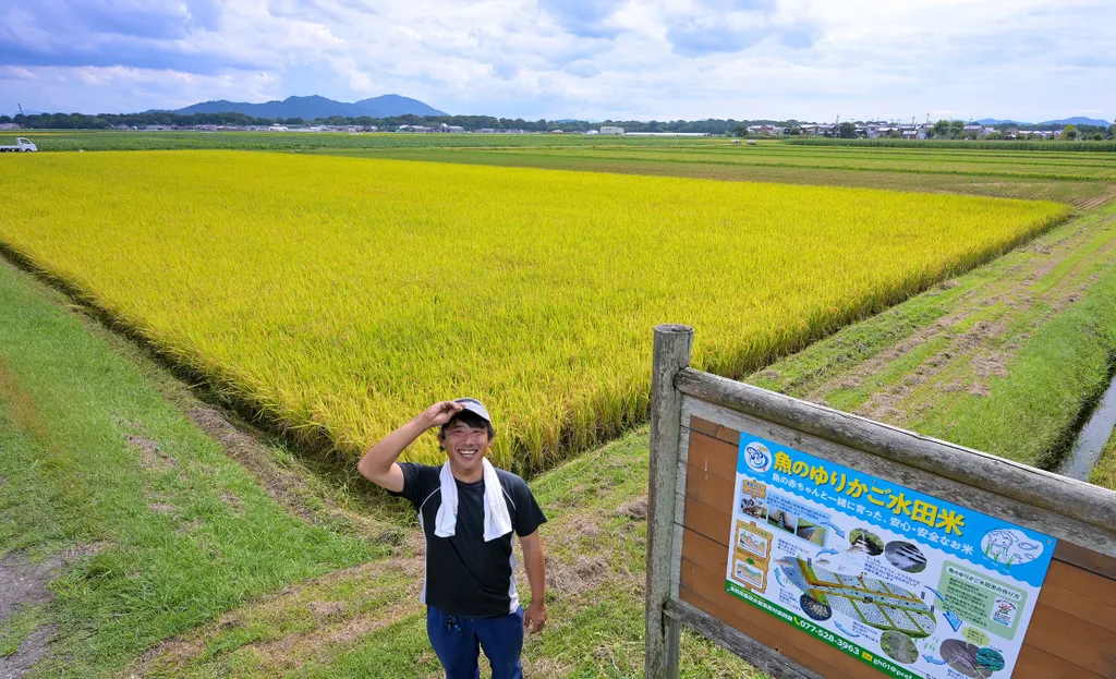 Forrás: The Yomiuri Shimbun via AFP/Michihiro Kawamura
