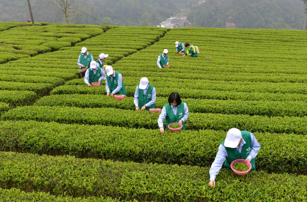 Fotó: Yang Shunpi Xinhua / Eyevine / Northfoto 