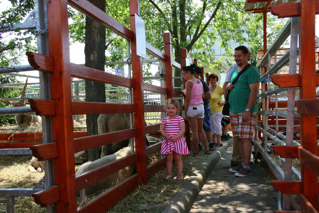 Fotó: Picasa / Körös-Maros Nemzeti Park 