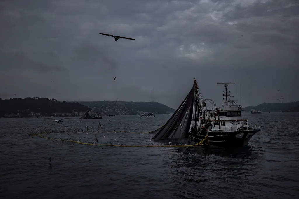 Forrás: Anadolu Agency via AFP/2022 Anadolu Agency/Sebnem Coskun