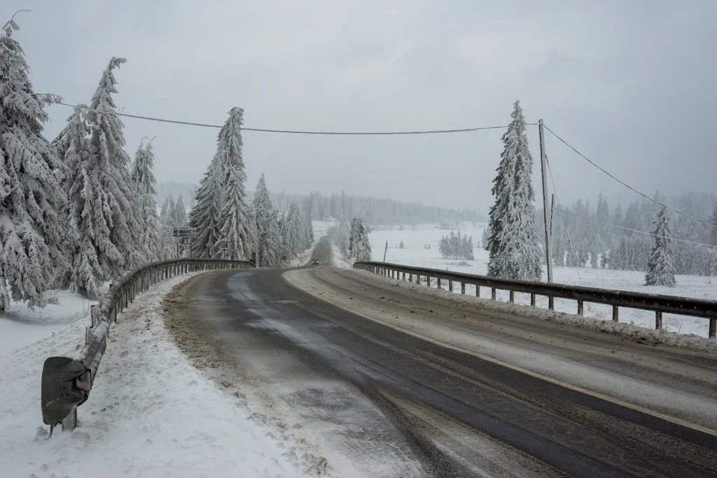 Forrás: MTI/Kiss Gábor