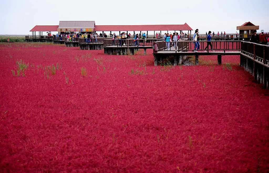 Fotó: ChinaFotoPress / Europress / Getty 