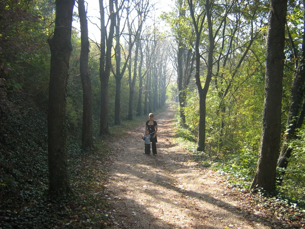 Fotó: Veroniqui / Indafotó 