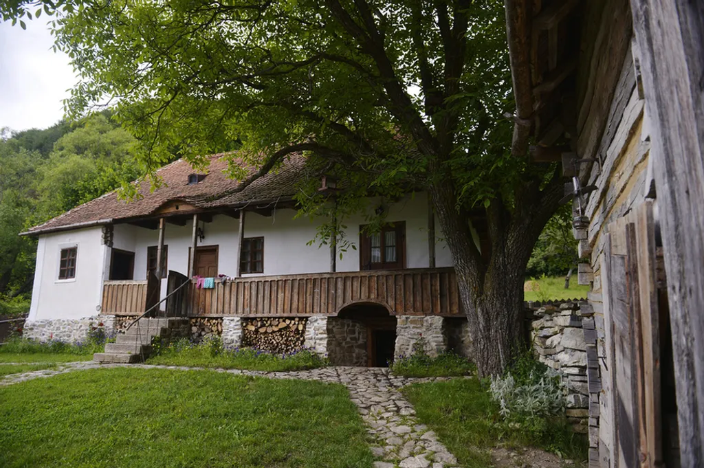 Fotó: Beliczay László / MTI 