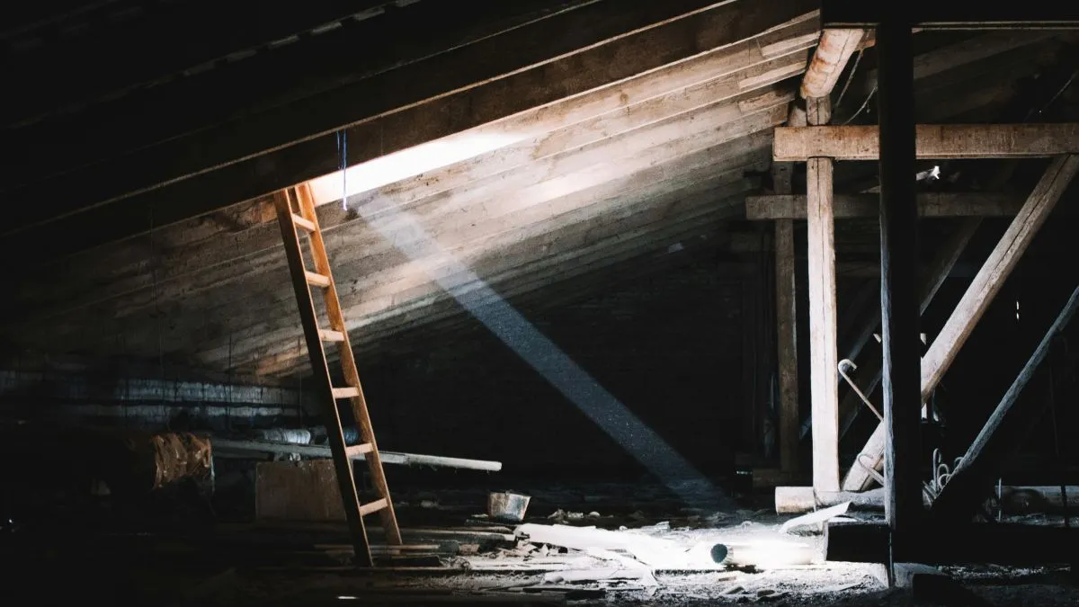 A padlásról jövő szokatlan hangokkal kapcsolatban a nő már az elején érezte, hogy valami nincsen rendben.