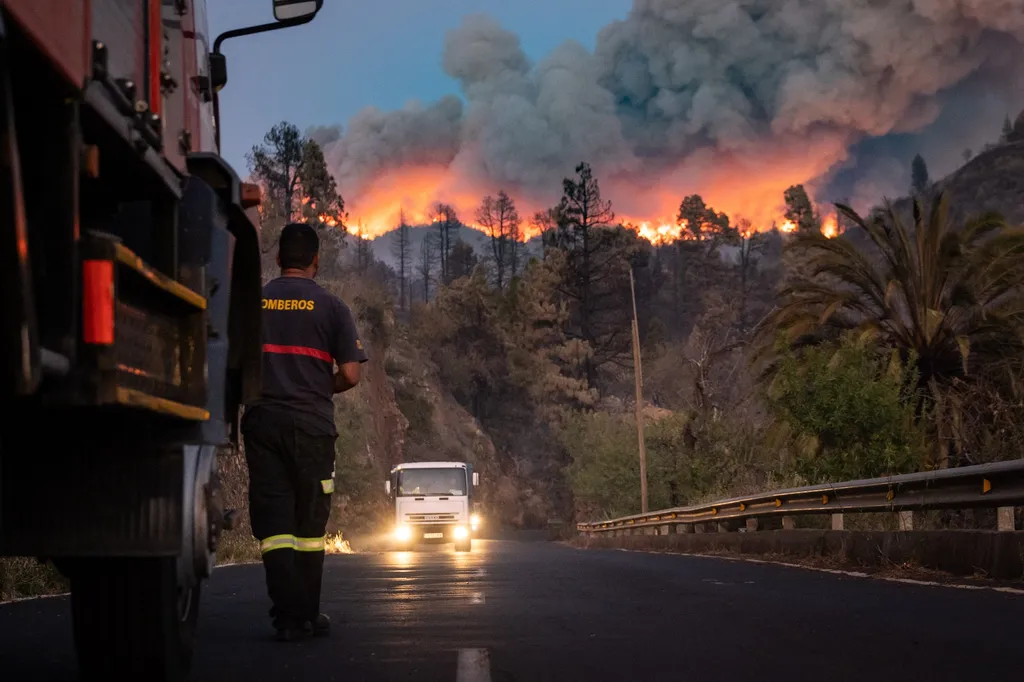 Forrás: Anadolu Agency via AFP/2023 Anadolu Agency/Andres Gutierrez
