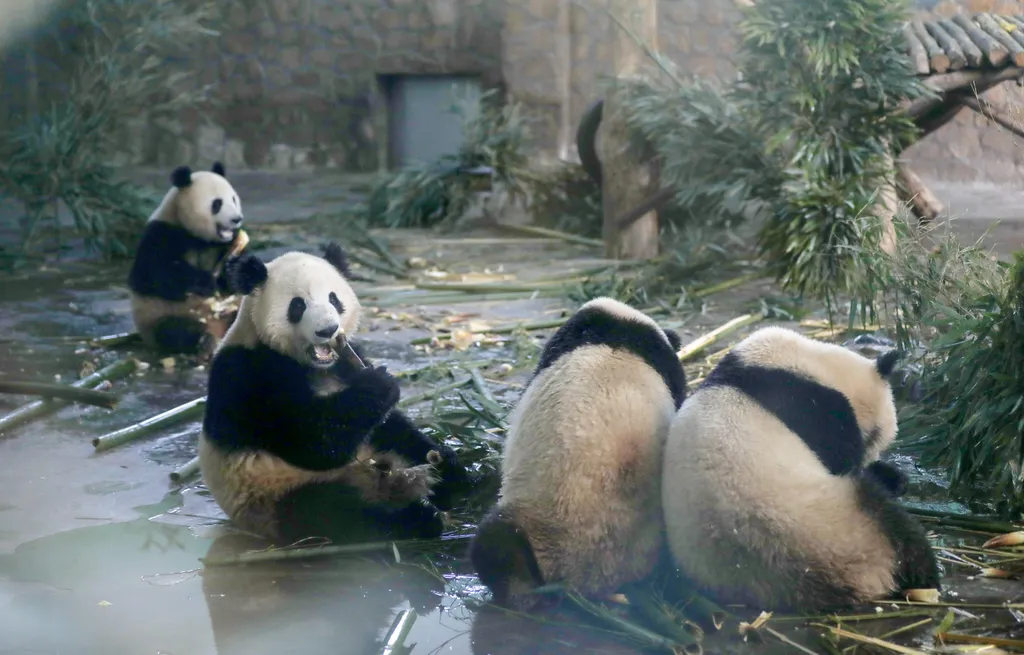 Forrás: Imaginechina via AFP/Li Tao