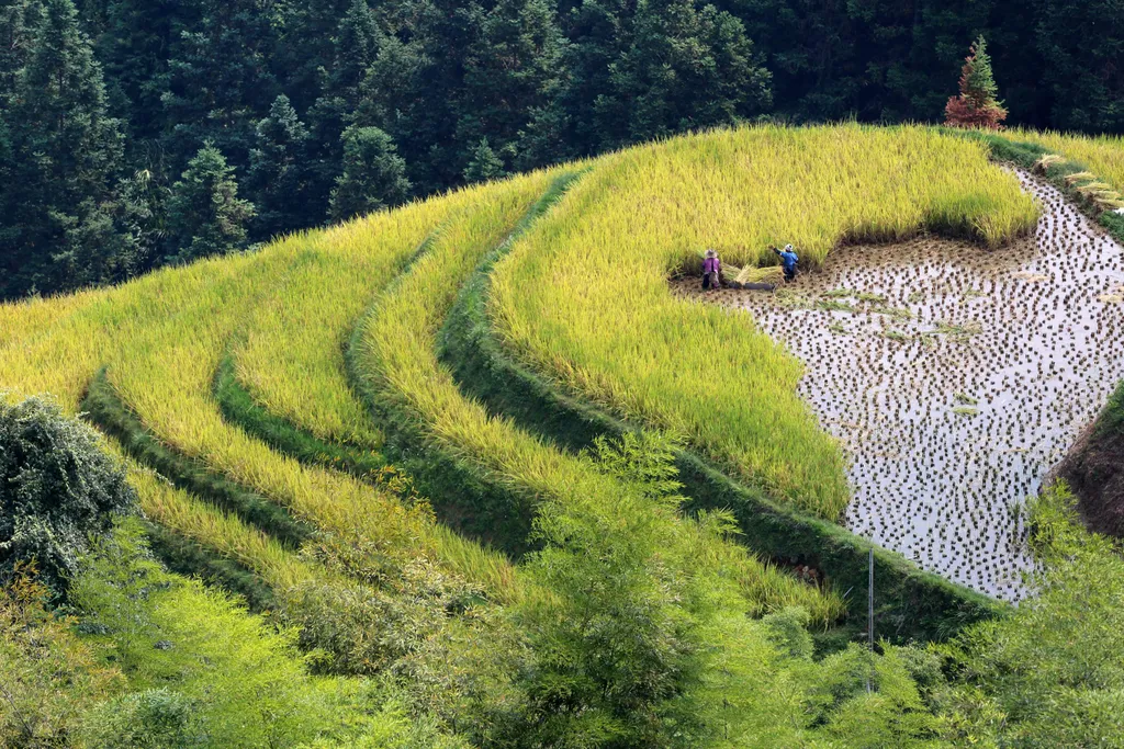 Forrás: Xinhua via AFP/Xinhua News Agency.All Rights Reserved/Yang Chengli