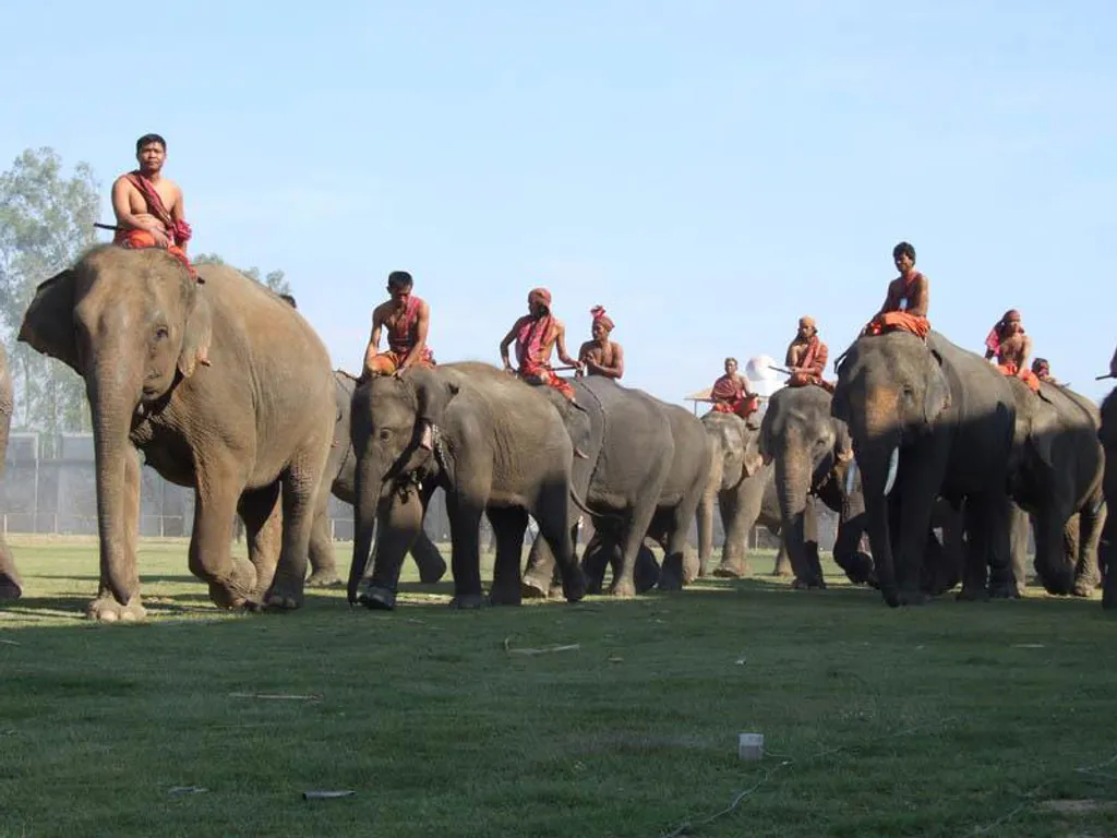 Fotó: Surin s elephant round up / Flickr.com 
