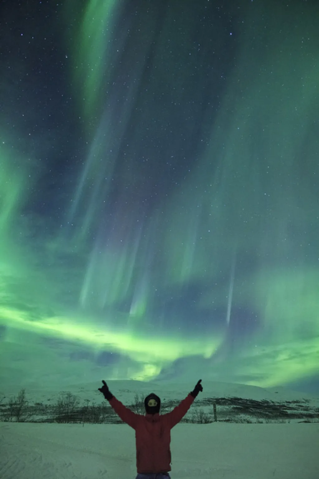 Fotó: Marko Korosec / Barcroft Usa / Northfoto 