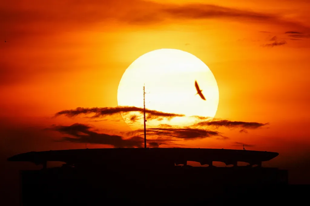 Forrás: AFP/David Gannon