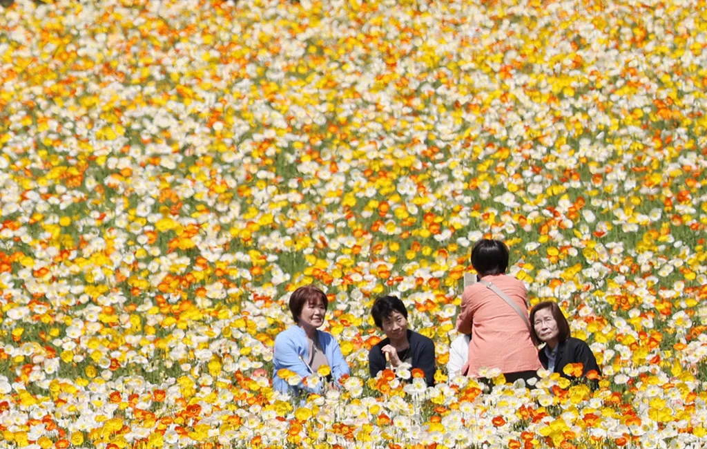 Forrás: The Yomiuri Shimbun via AFP/Yomiuri/Miho Takahashi