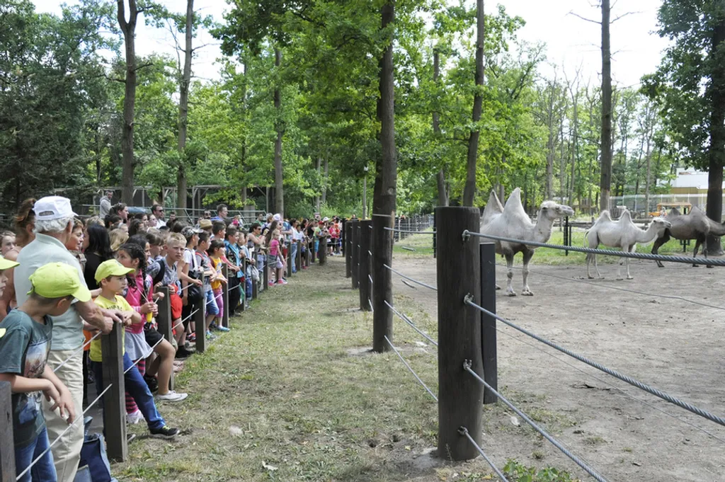 Fotó: Nyíregyházi Állatpark 