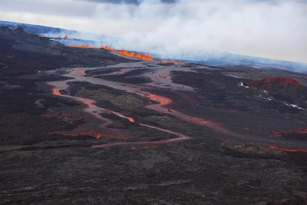 Forrás: MTI/EPA/Bruce Omori