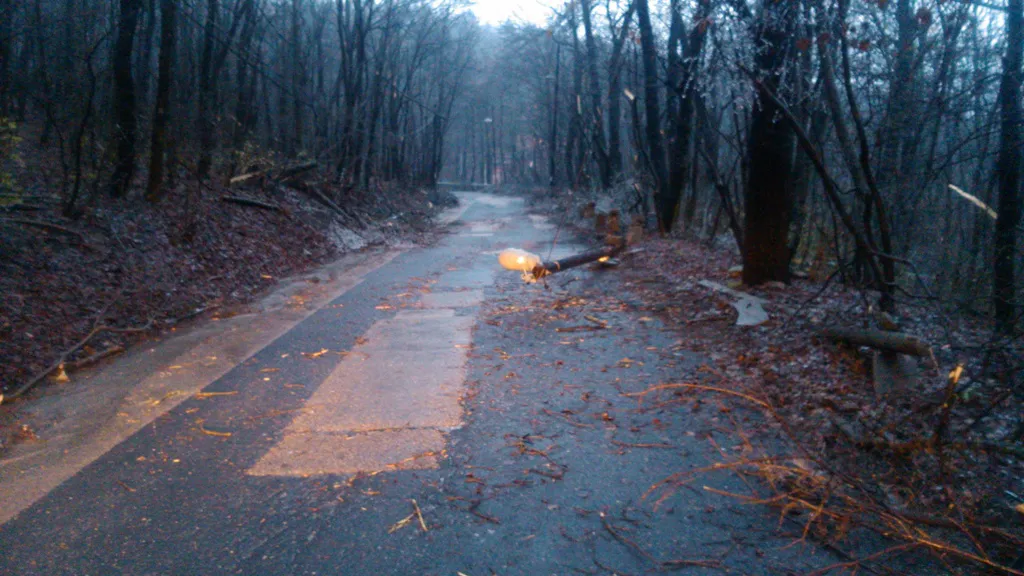 Fotó: Pilisi Parkerdő Zrt 