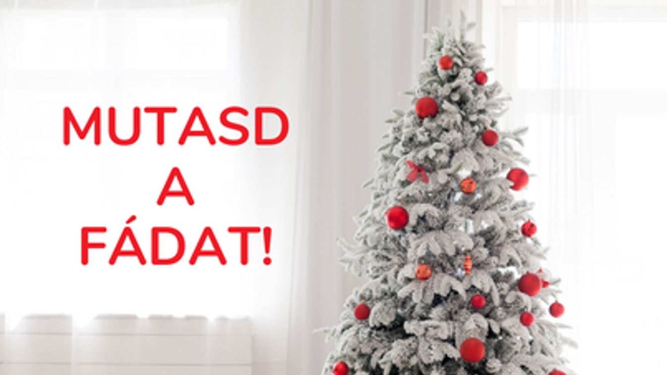 Lett ezernél több  fánk!