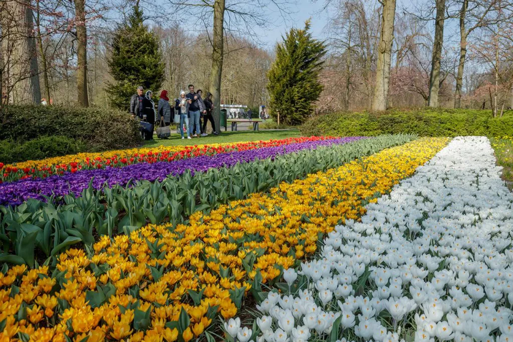 Fotó: Visit Keukenhof / Facebook 