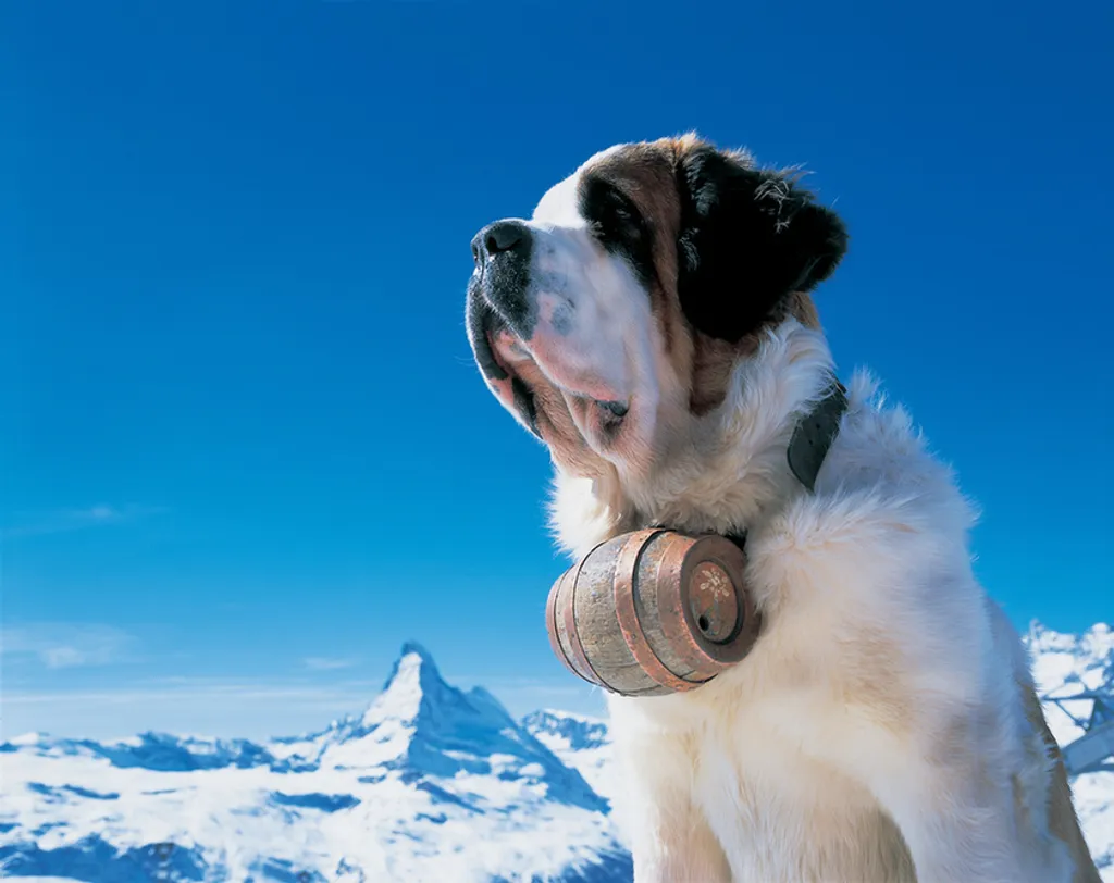 Fotó: Christof Sonderegger / Swiss Image 