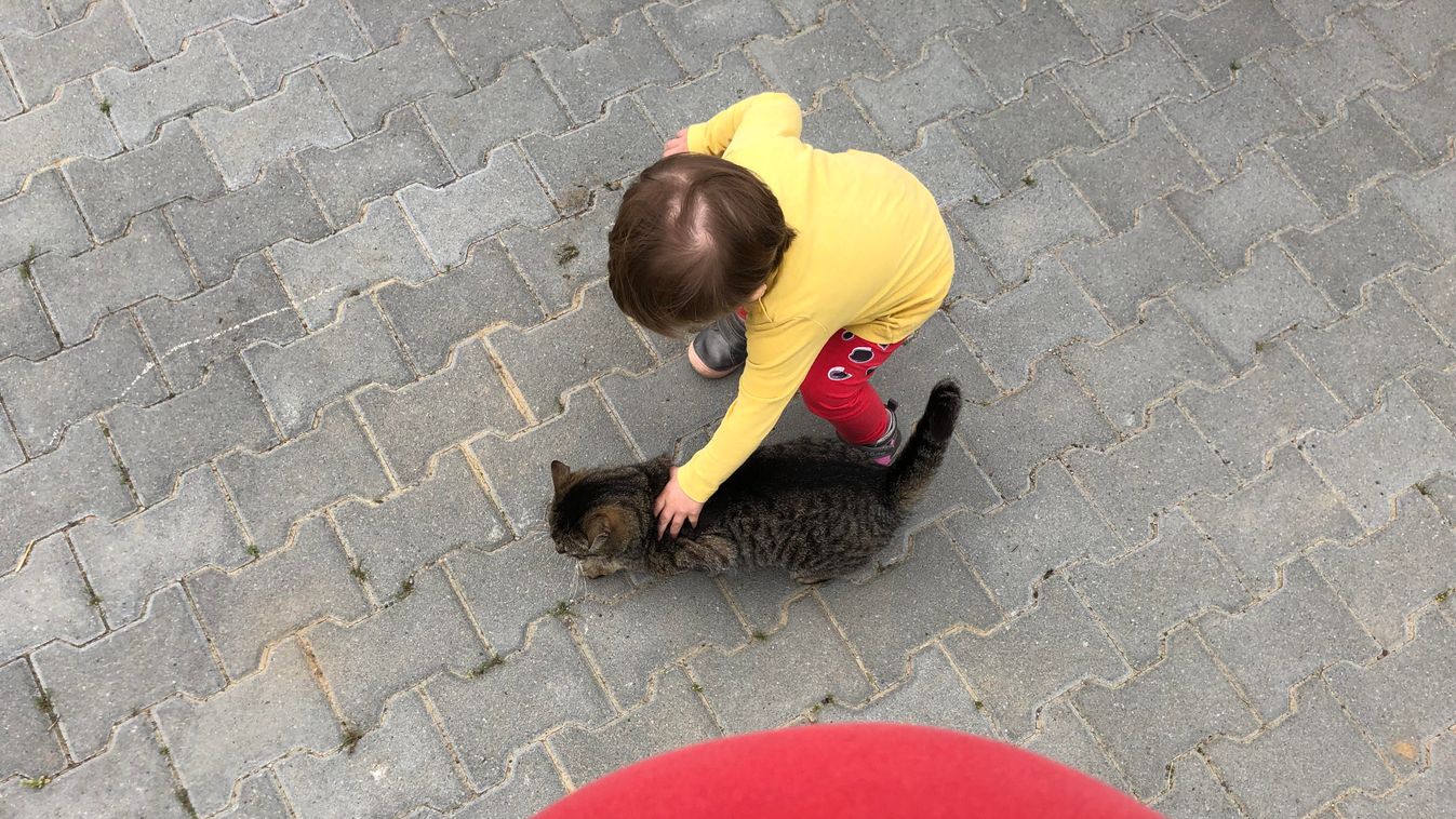 A 30. héten tudtuk meg a baba nemét