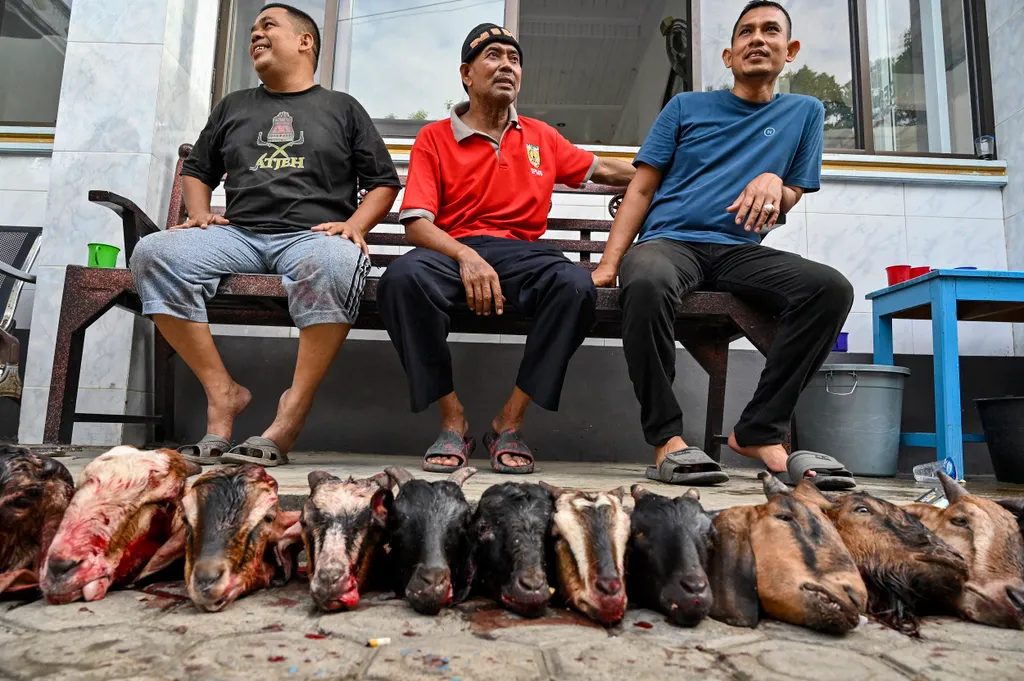 Forrás: AFP/Chaideer Mahyuddin
