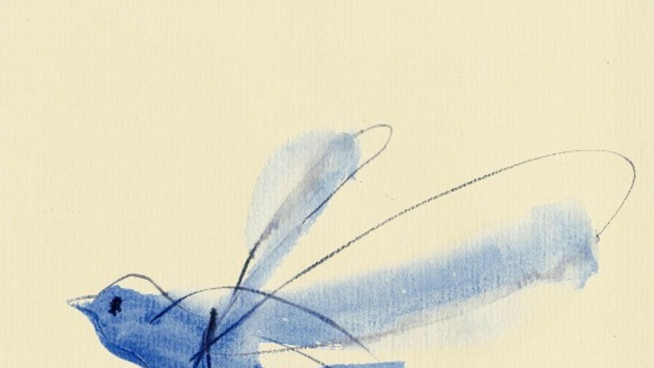 Pénteki mese: A kék kolibri