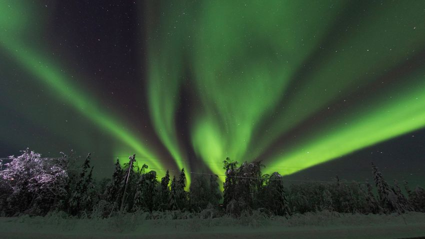 Képekben az elmúlt 24 óra - december 23.