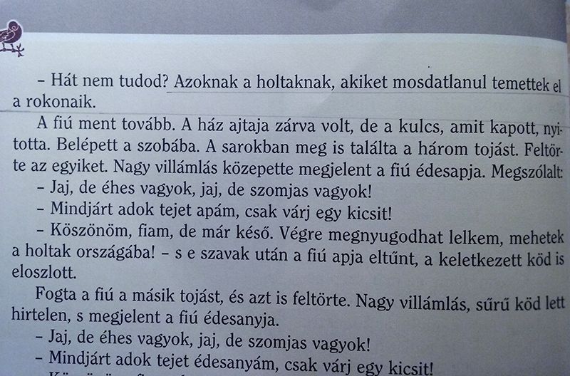 iskolások oktatás tankönyv