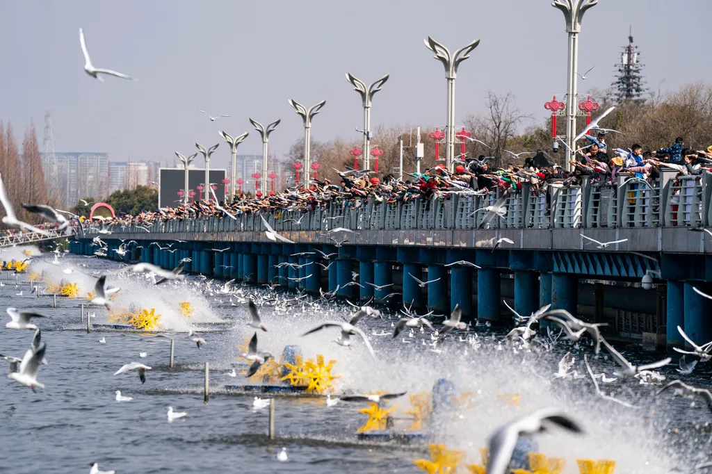 Forrás: Xinhua via AFP/Xinhua News Agency.All Rights Reserved/Hu Chao