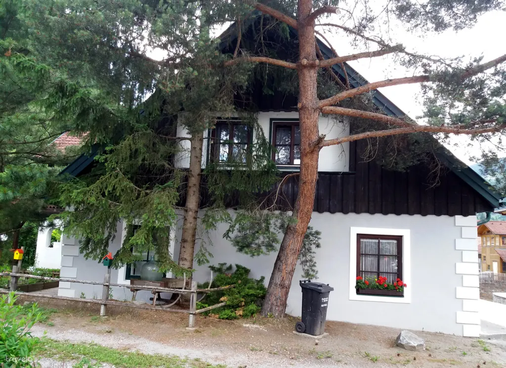 Fotó: rea 