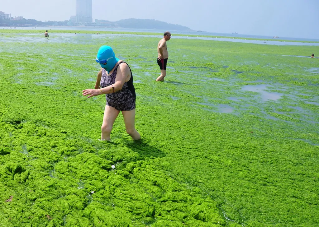 China Foto Press / Barcroft Medi / Northfoto 