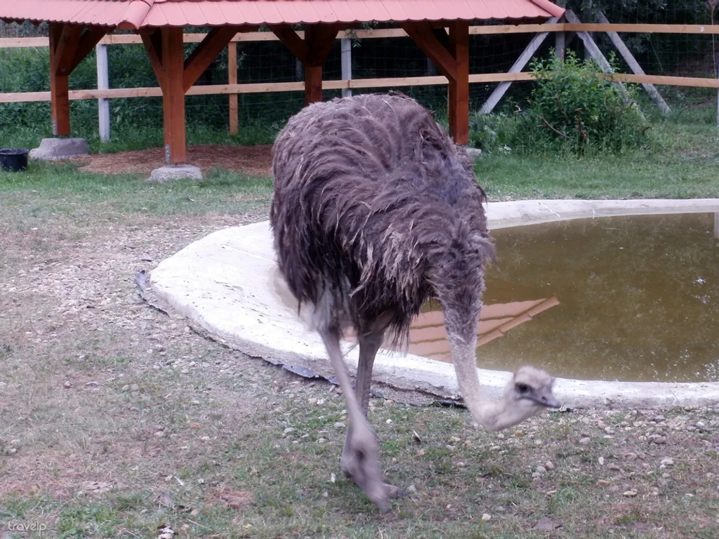 Fotó: mimi 