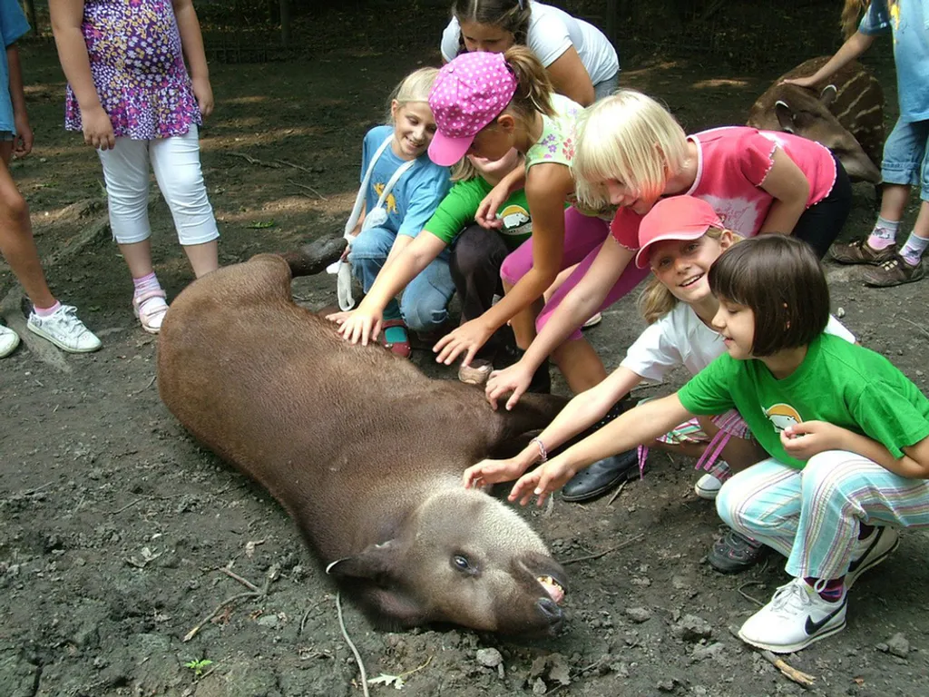 Fotó: ZOO GYŐR 