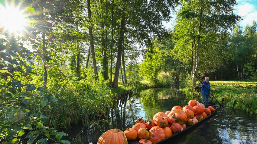 Képekben az elmúlt 24 óra - szeptember 21.
