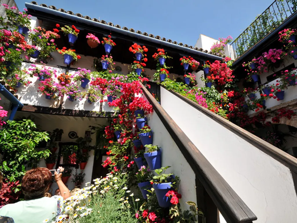 Fotó: patios.cordoba.es 