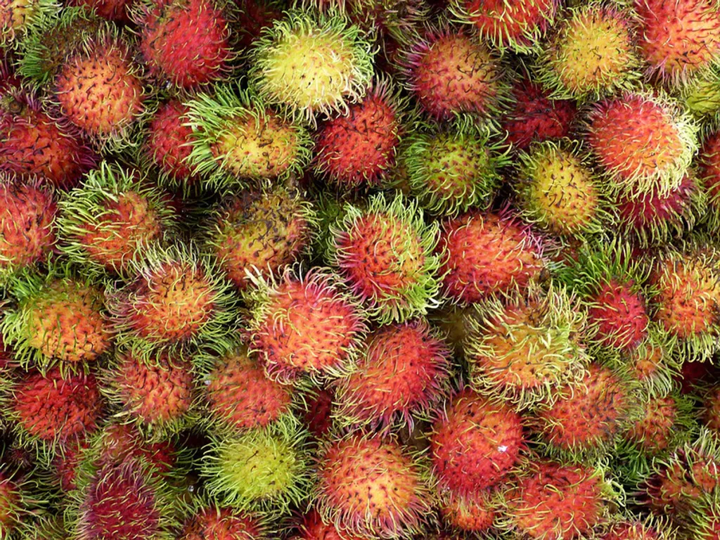 Fotó: Pixabay 