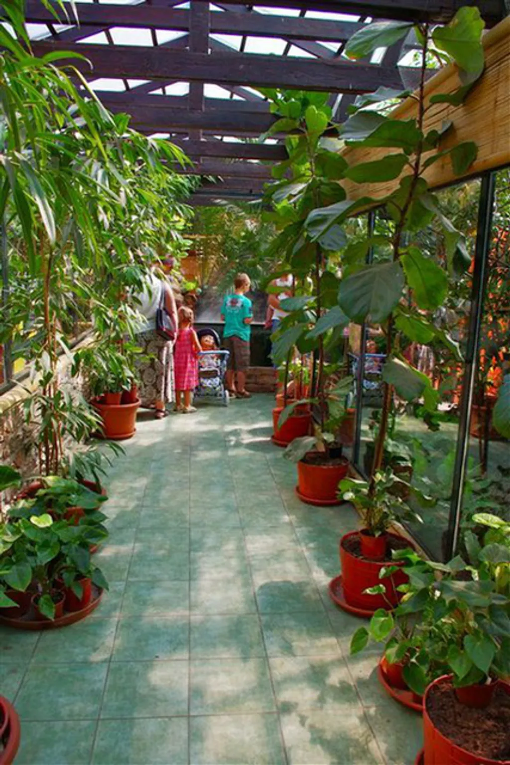 Fotó: ZOO GYŐR 
