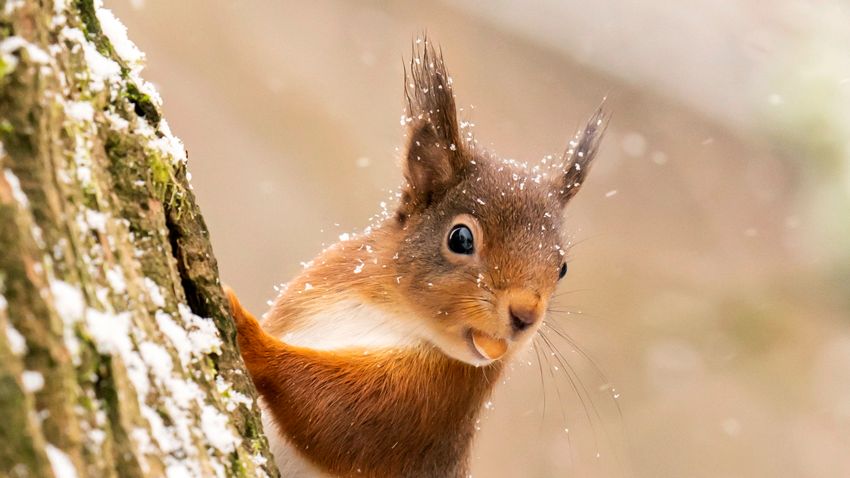 Képekben az elmúlt 24 óra - január 7.