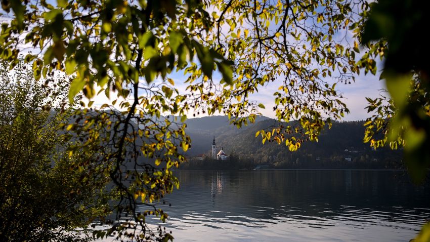 Képekben az elmúlt 24 óra - November 8.