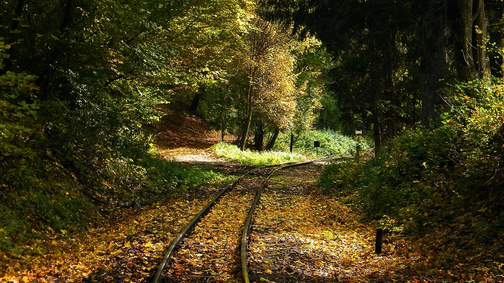 Fotó: Norbikapitany / Indafotó 