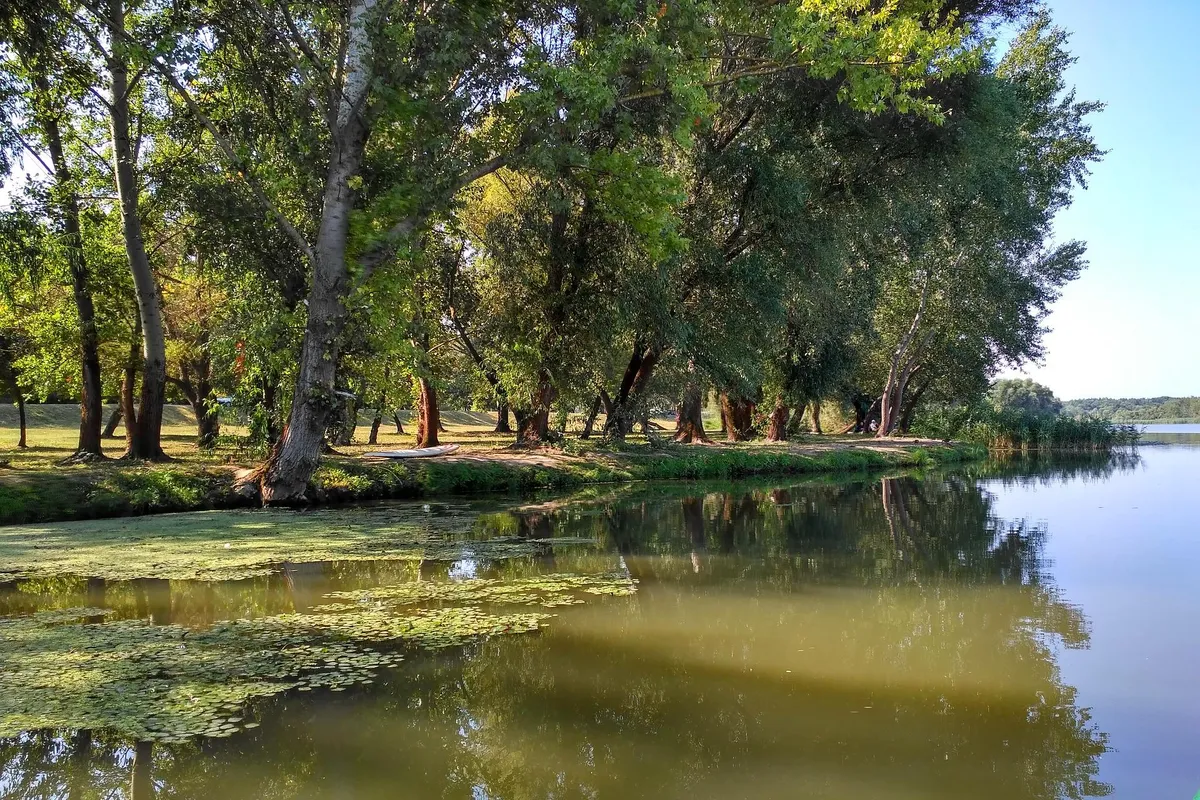 Tisza